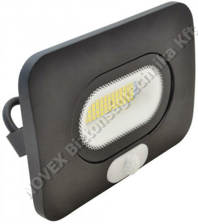 EGYÉB - Tracon - RSMDLM30 SMD fényvető, mozgásérzékelővel, 30W, 4000K, 3-10m